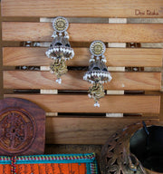 RadhaKrishna Jhoolta